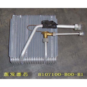 Evaporator core kit Great Wall Sailor