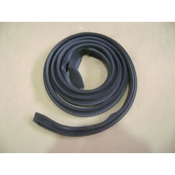 Left roof rail strip Great Wall Sailor