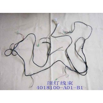 Harn assy-ceiling lamp Great Wall Sing