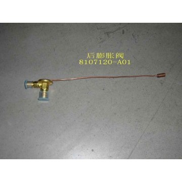 Expand valve-rr evaporator Great Wall Sing