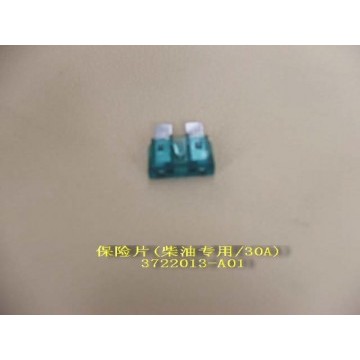 Fuse 30a Great Wall Sing