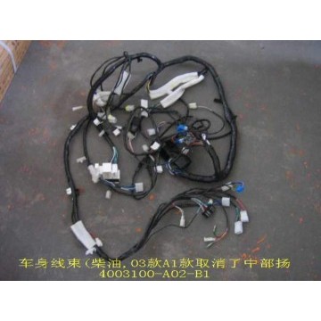 Harn assy-instrument panel&console(no mi Great Wall Sing