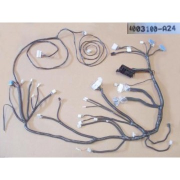 Inst panel and console wiring harness as Great Wall Sing