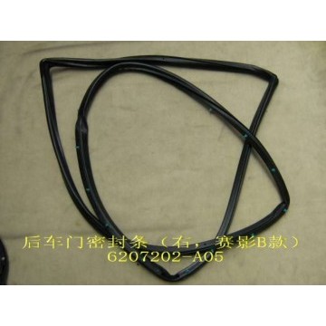 Seal strip-rr door rh(sing b) Great Wall Sing