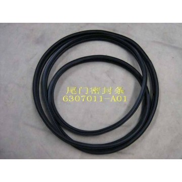 Seal strip-tail door Great Wall Sing