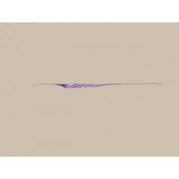 Decor ribbon assy(c type-01 violet) Great Wall Sing