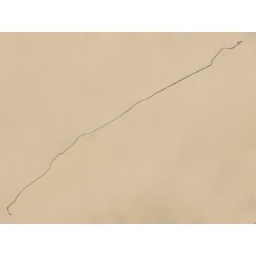 Oil pipe bypass chamber-lspv Great Wall Wingle