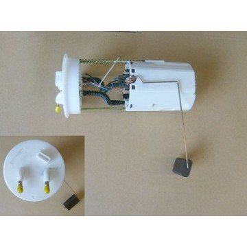 Gasoline pump w/brkt assy(ue sing) Great Wall для двигателей