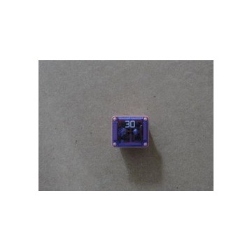 Fuse 30a BYD F0