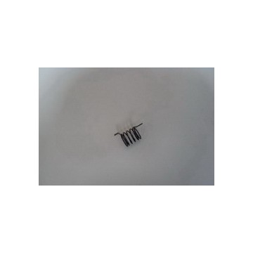 Spring, reverse lock cam BYD F0