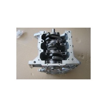 Spare parts, cylinder assy. BYD F0