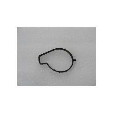 Washer, throttle BYD F0