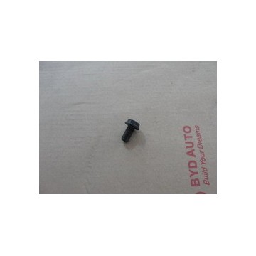 Bolt, fly lwheel BYD F0