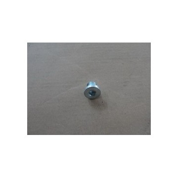 Plug BYD F0